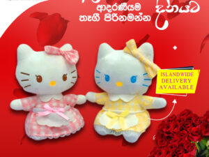 Hello Kitty Plush Toy(DC - 211)
