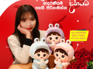 Adorable Hugging Plush Pillow(037)