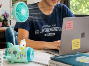 Stylish Mini Airplane Fan