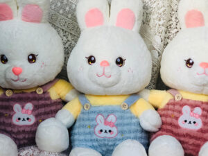 Cute Rabbit Soft Toy (14-6)