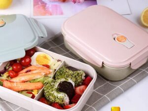 Plastic Lunch Box(sj-0416)