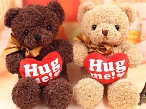 Cute Teddy Bear Plush Stuffed Doll(15-25)