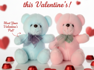 Lovely Teddy Bear (178-3)